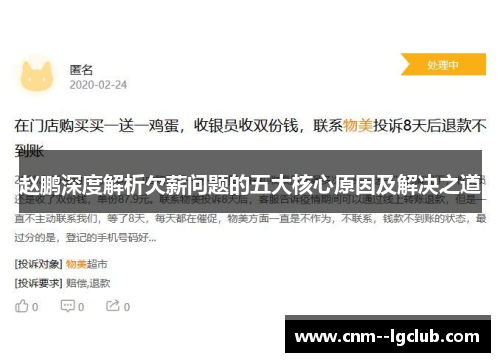 赵鹏深度解析欠薪问题的五大核心原因及解决之道