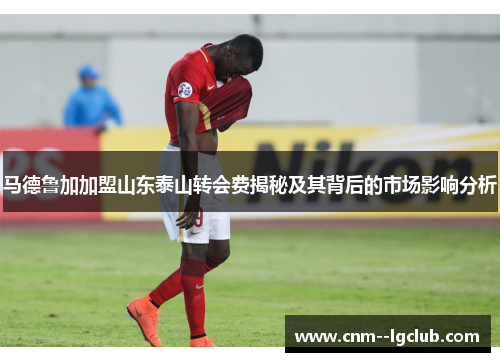 马德鲁加加盟山东泰山转会费揭秘及其背后的市场影响分析